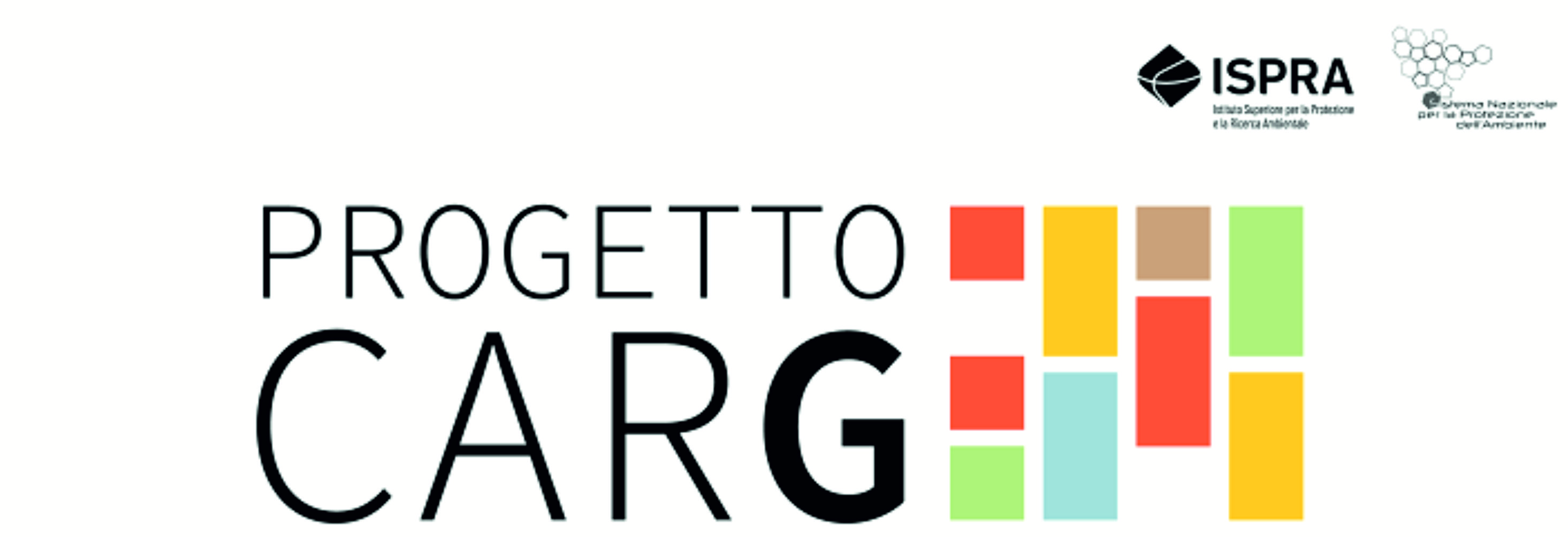 carg project